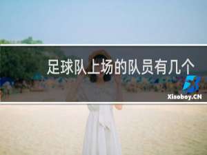 足球队上场的队员有几个