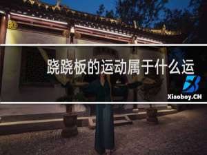 跷跷板的运动属于什么运动