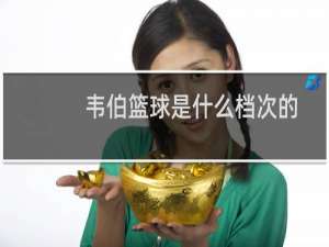 韦伯篮球是什么档次的