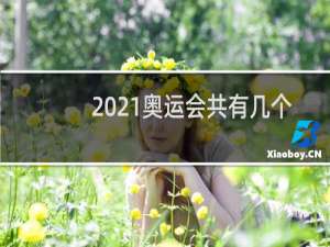 2021奥运会共有几个国家参与