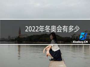 2022年冬奥会有多少国参加