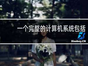 一个完整的计算机系统包括