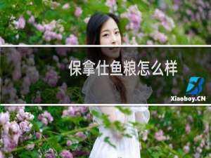 保拿仕鱼粮怎么样