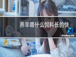 养羊喂什么饲料长的快