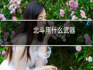 北斗用什么武器