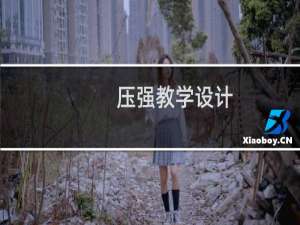 压强教学设计