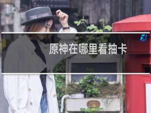原神在哪里看抽卡记录分析