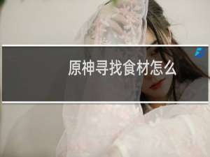 原神寻找食材怎么完成