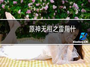 原神无相之雷用什么属性打