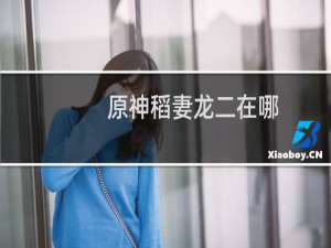 原神稻妻龙二在哪里