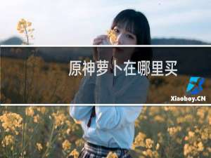 原神萝卜在哪里买
