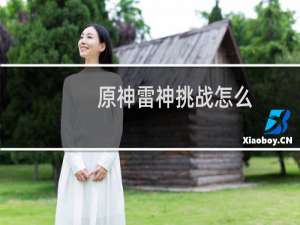 原神雷神挑战怎么过