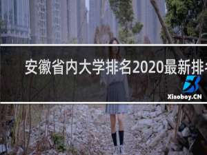 安徽省内大学排名2020最新排名（安徽省内2021大学排名）