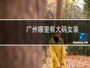 广州哪里有大码女装（广州最大的大码女装）