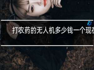 打农药的无人机多少钱一个现在