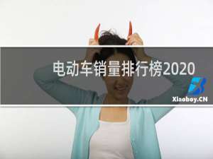 电动车销量排行榜2020（电动两轮车销量排行榜2020）