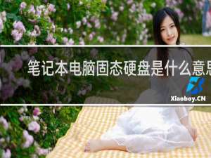 笔记本电脑固态硬盘是什么意思