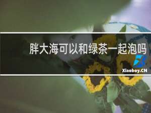 胖大海可以和绿茶一起泡吗