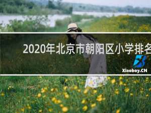 2020年北京市朝阳区小学排名（朝阳最差的十大小学）