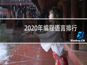 2020年编程语言排行（计算机编程语言排行榜2020）