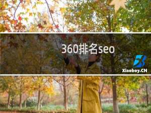 360排名seo（刷360优化）