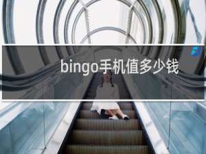 bingo手机值多少钱