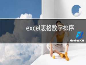 excel表格数字排序（表格里的数字怎么按大小排序）