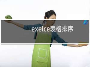 exelce表格排序（exelce怎么排序）