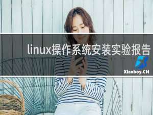 linux操作系统安装实验报告