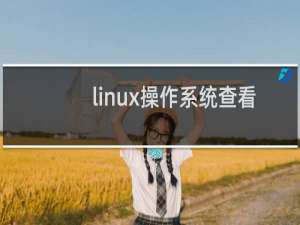 linux操作系统查看
