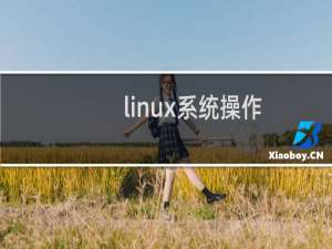 linux系统操作
