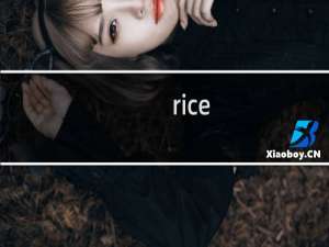 rice university排名（rice university qs排名）