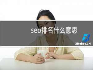 seo排名什么意思（seo排名怎么看）