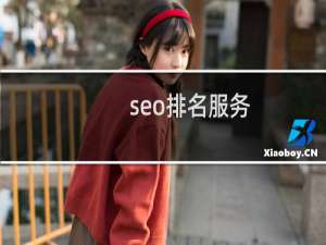 seo排名服务（上海关键词排名软件）