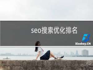 seo搜索优化排名（优排）