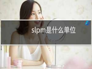 slpm是什么单位