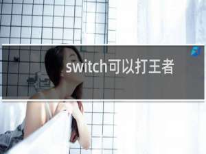 switch可以打王者吗