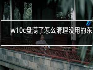 w10c盘满了怎么清理没用的东西 - c盘明明没东西却显示满了