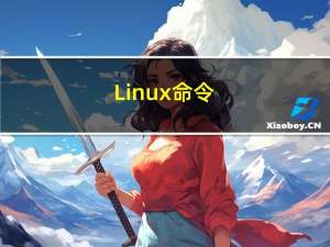 [Linux 命令] ls 显示目录内容列表