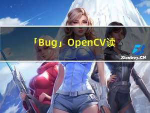 「Bug」OpenCV读取图像为 None 分析