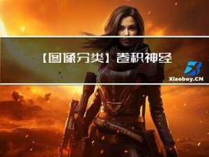 【图像分类】卷积神经网络之VGG网络模型结构详解