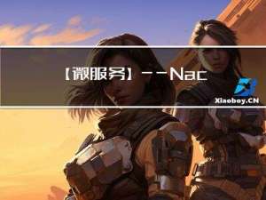 【微服务】—— Nacos设计原理