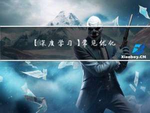 【深度学习】常见优化算法的PyTorch实现