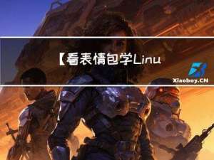 【看表情包学Linux】进程等待