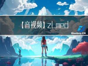【音视频】zlmediakit总结一