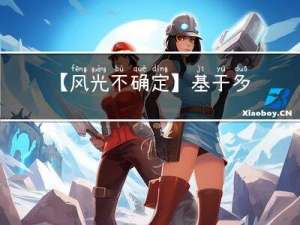 【风光不确定】基于多时间尺度滚动优化算法的主动配电网研究【IEEE33节点】（Matlab代码实现）