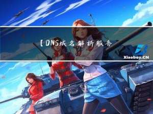 【DNS域名解析服务】