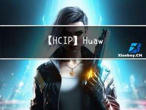 【HCIP】Huawei设备下IPV4IPV6共存实验