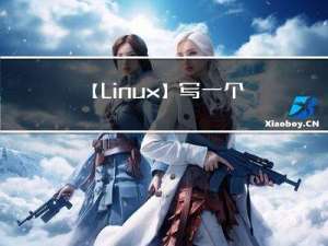 【Linux】写一个基础的bash