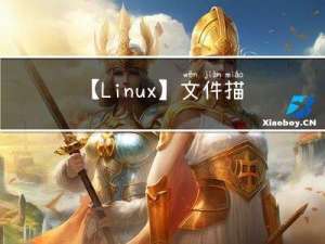 【Linux】文件描述符
